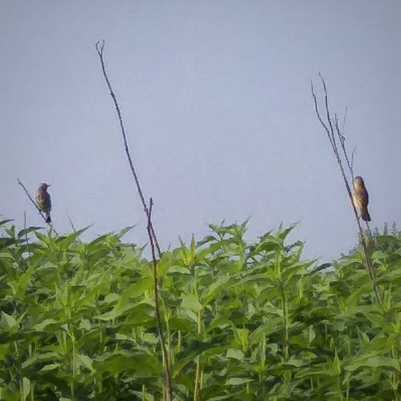 Разговор - Наталия 