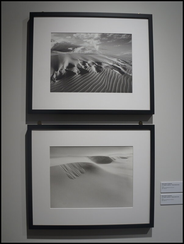 Вацловас Страукас / из серии "Дюны". Куршская коса / 1975 г. - zavitok *