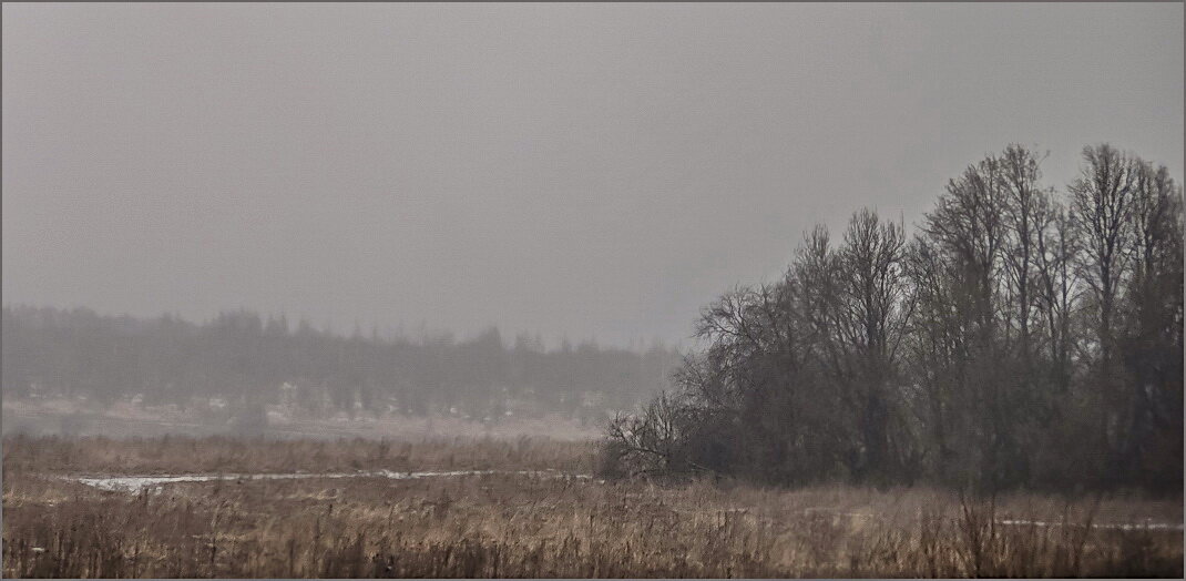 Октябрь - Наталья Rosenwasser