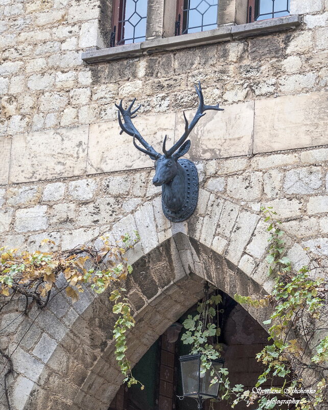 ... - Светлана Ищенко