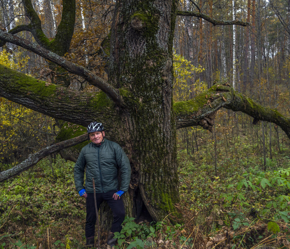 А дубы-колдуны что-то шепчут в тумане - Сергей Цветков