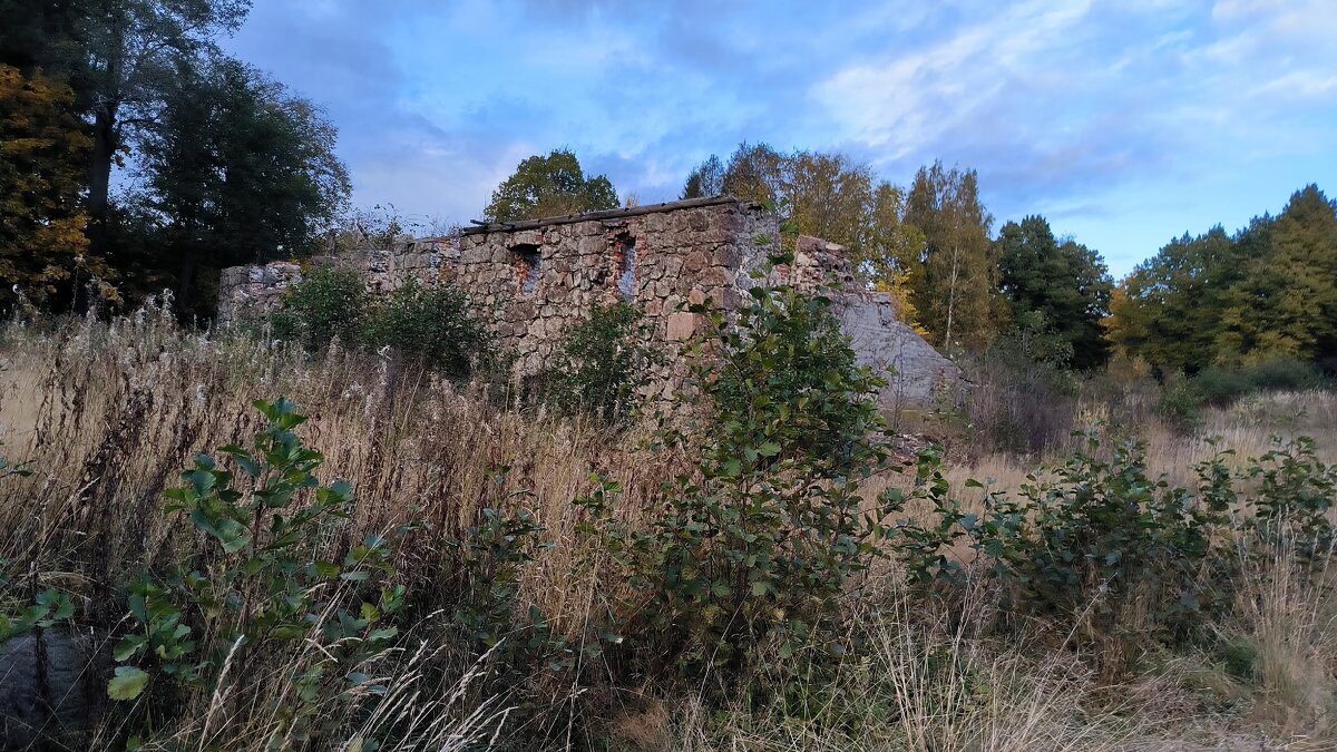 Руины усадьбы Нобеля. - Ольга 