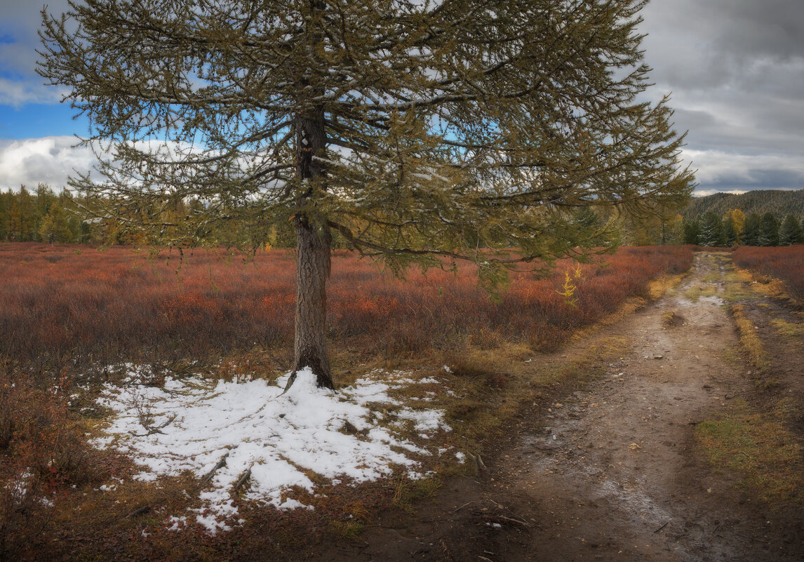 * - Александр Иванов