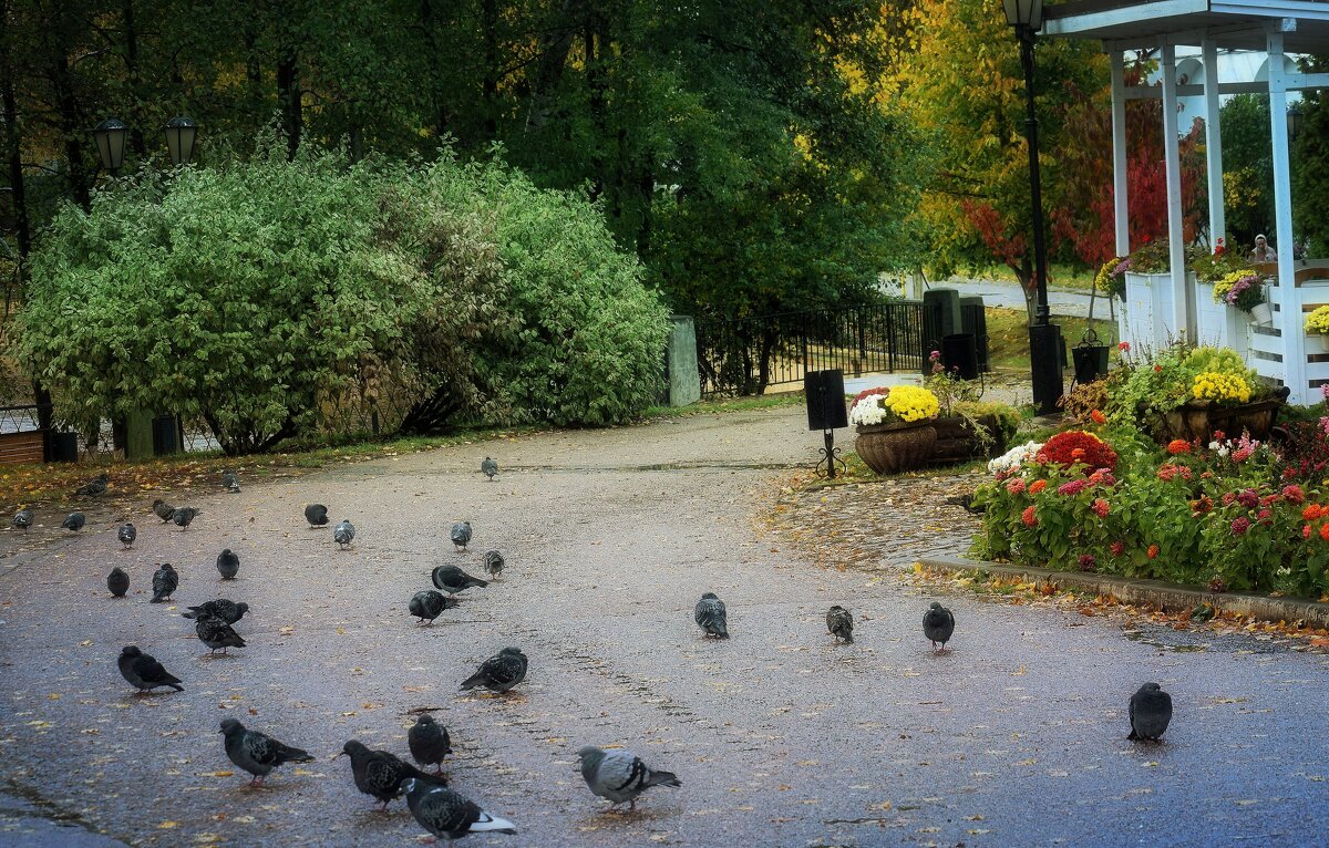 Встречающие и провожающие. - Татьяна Помогалова