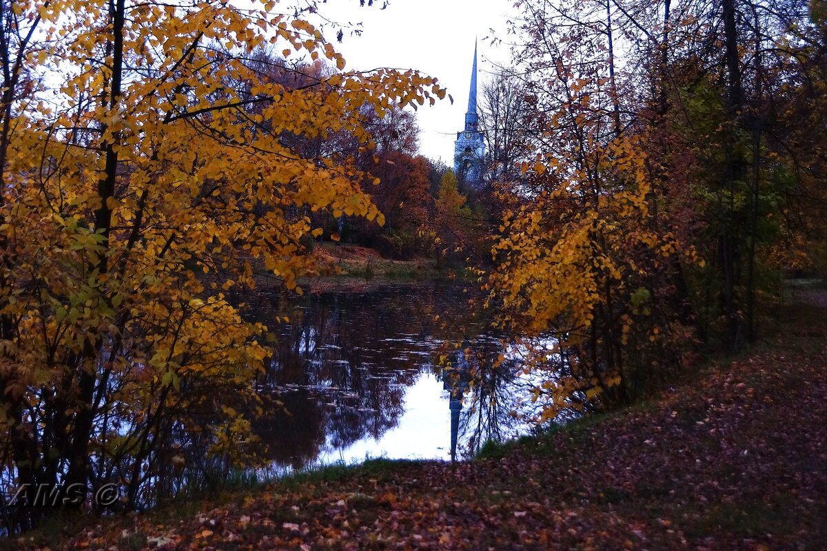 !!!! - kolyeretka !!!! - kolyeretka