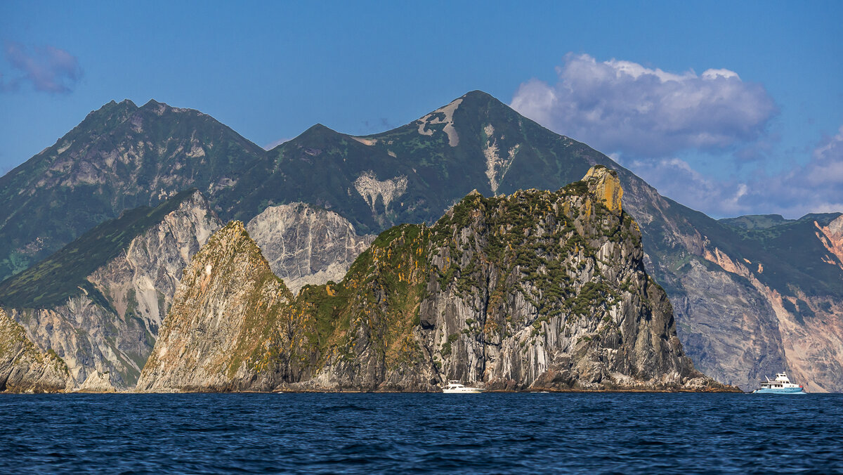 ... - Жора Житников