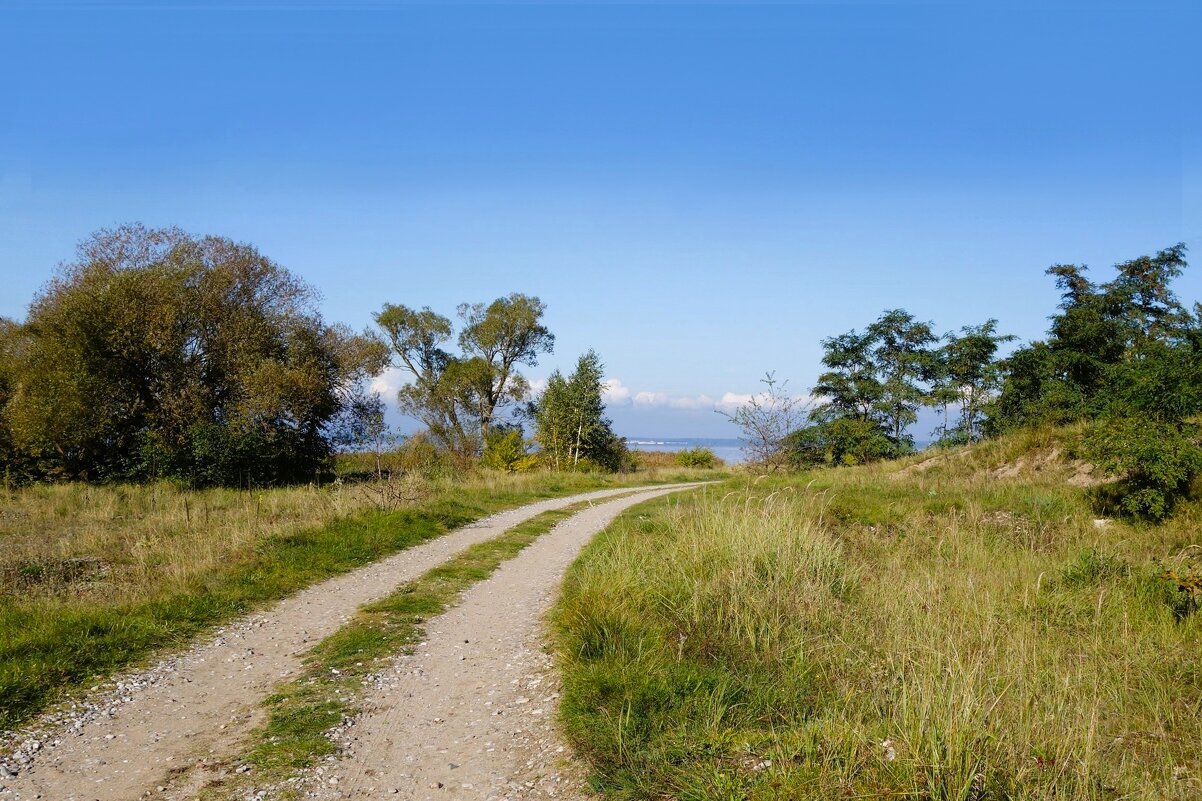 Побережье Калининградского  залива - Рита Симонова