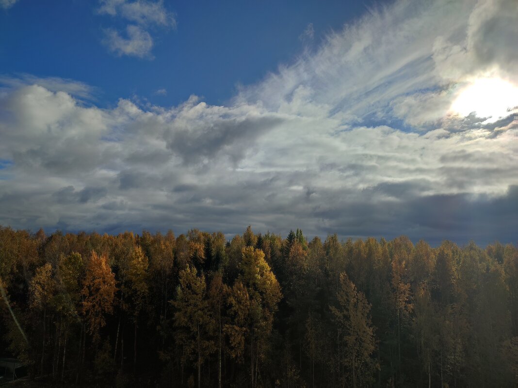 Осенние красоты - Ирина Осенние красоты - Ирина