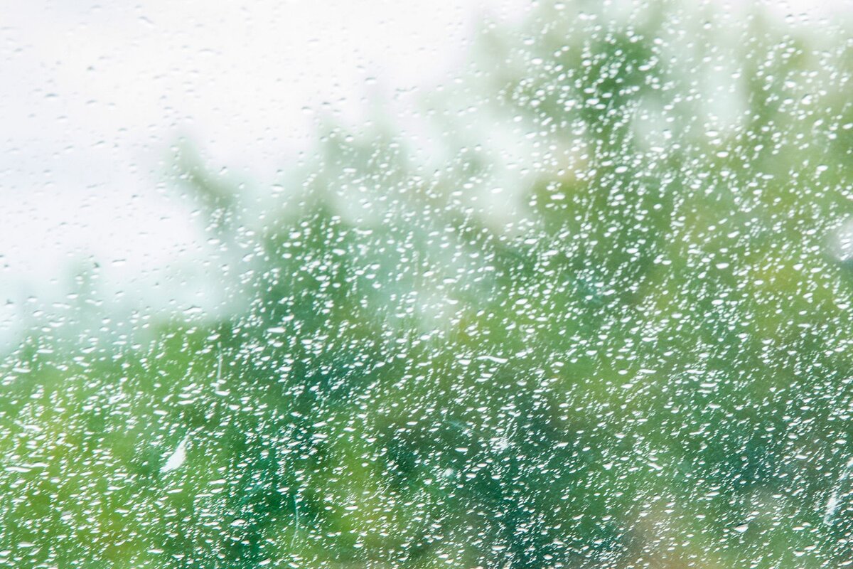 Дождь - Галина Ложечникова