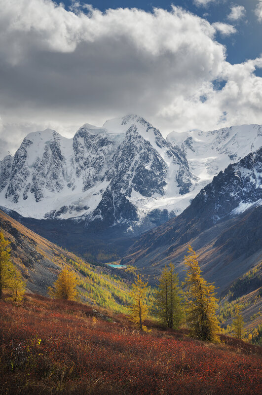 * - Александр Иванов