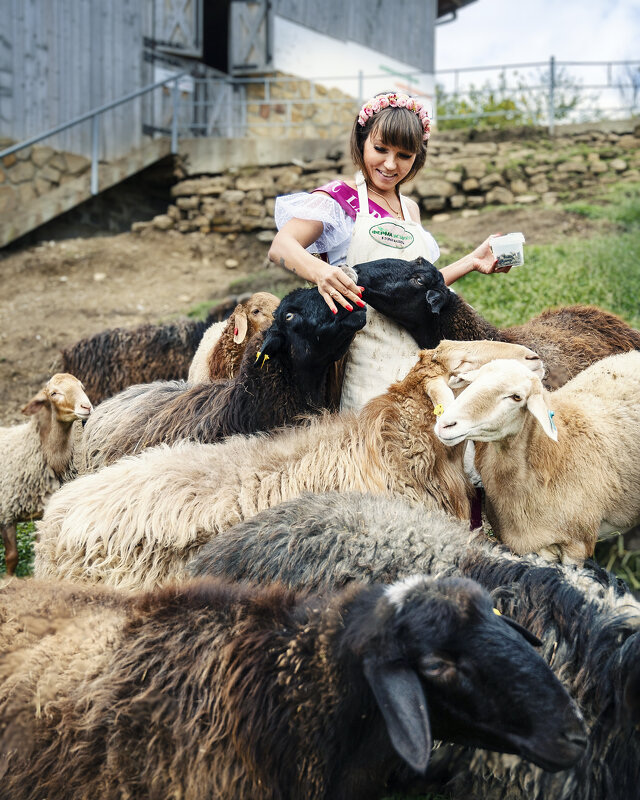Хозяюшка... - Дмитрий Смиренко