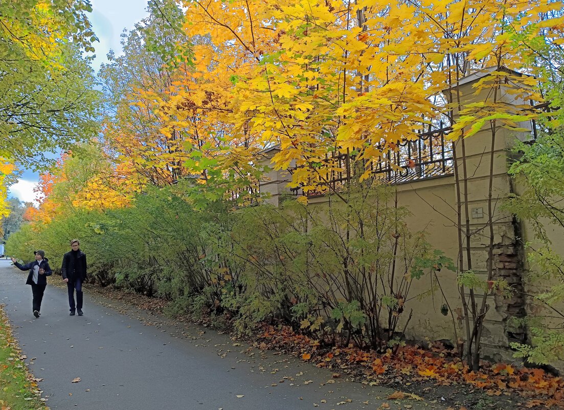 Прогулка по осени... - Мария Васильева
