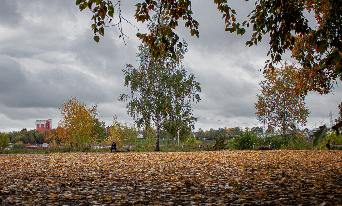 Савёлово, берег р.Волга - Владимир Зеленцов