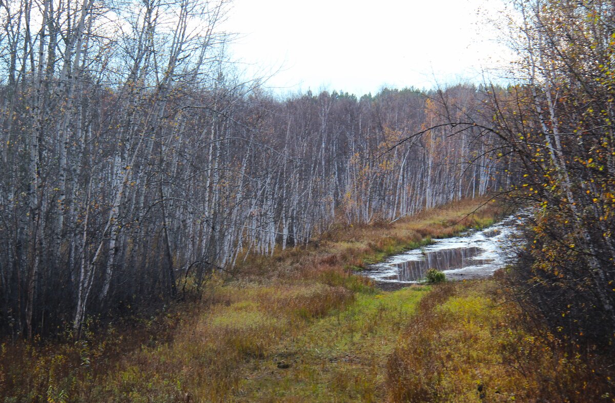 Осень - Сергей Никифоров