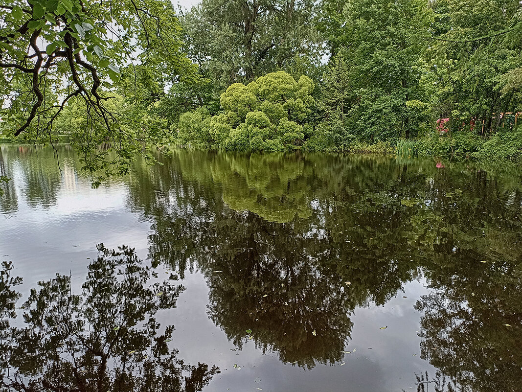 Летние пейзажи Елагина острова. - Лилия *