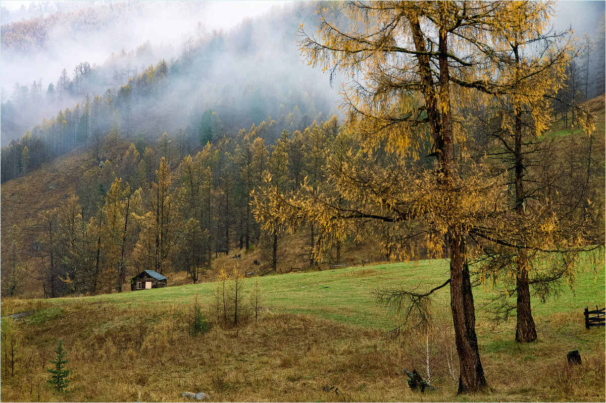 Туманное утро...Алтай - Алексей Мезенцев