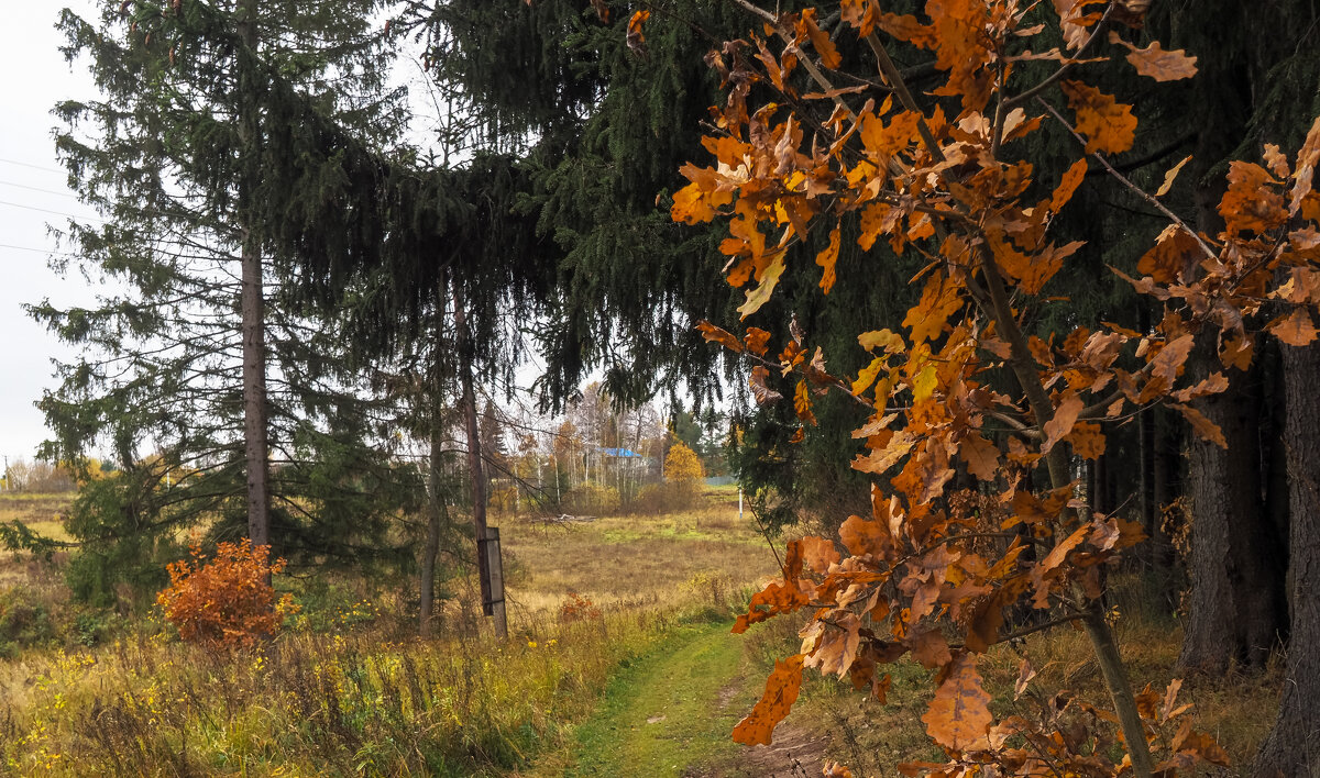 Осенний Сюжет - юрий поляков Осенний Сюжет - юрий поляков