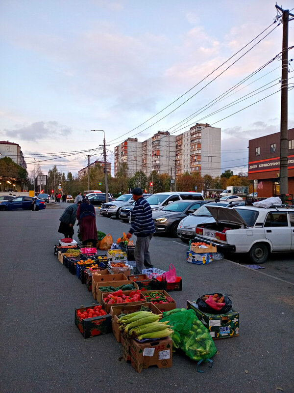 Середина осени - Татьяна Львова