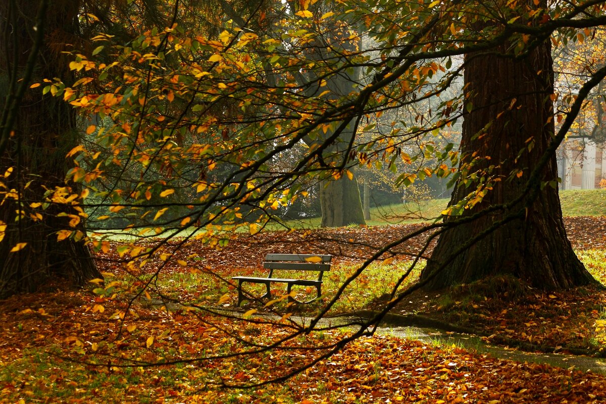 Осенняя скамейка - Юрий. Шмаков Осенняя скамейка - Юрий. Шмаков