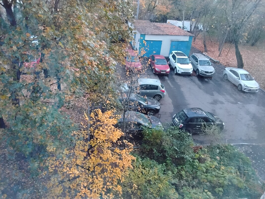 Осеннее утро - Дмитрий Никитин