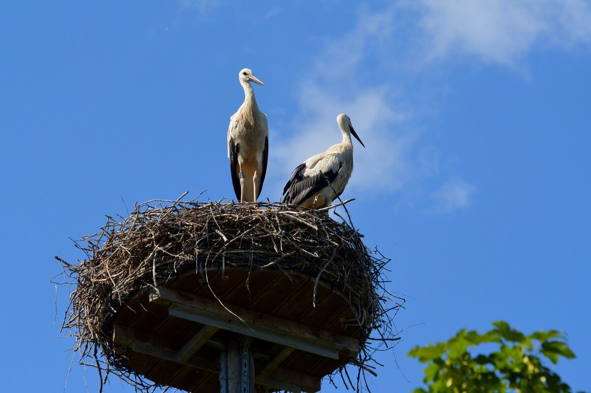 Обиделась.. - Юрий. Шмаков