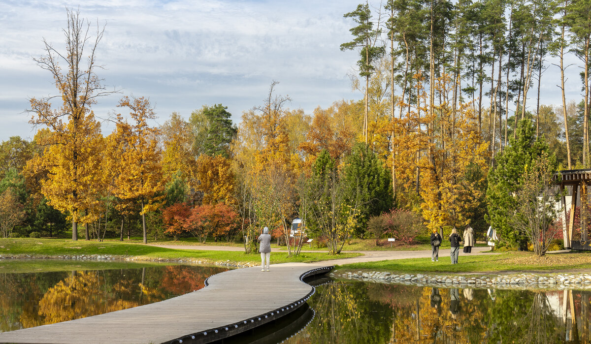 В Мещерском парке - Владимир Езеров 
