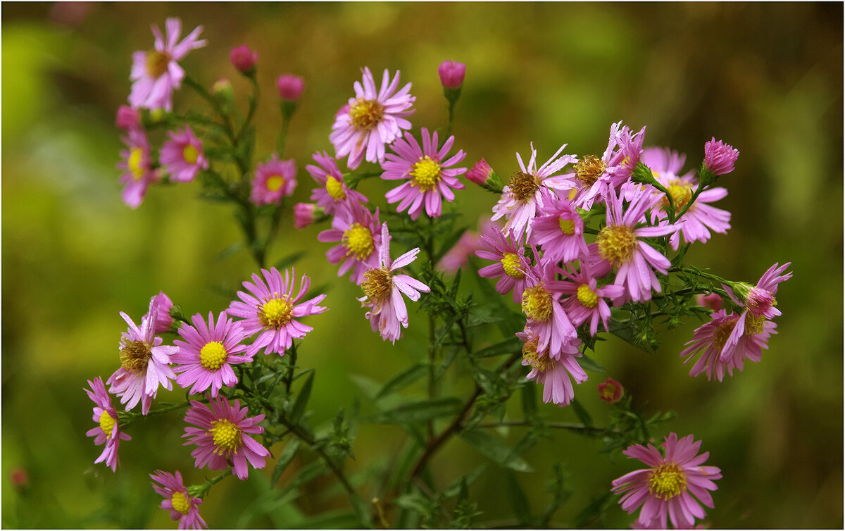 Октябринки - Валентин Котляров