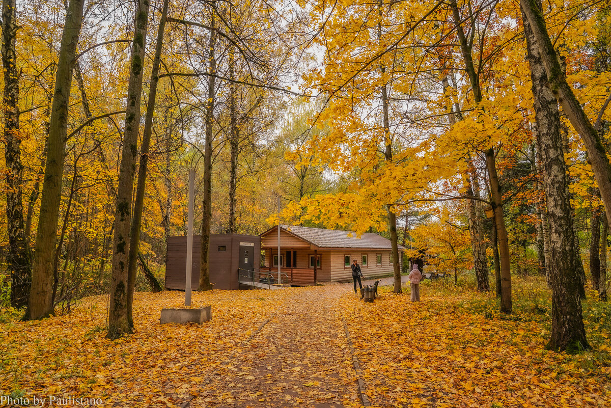 В осеннем парке... - Владимир Жданов