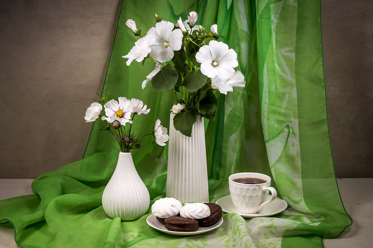 Лаватера и космея - Людмила Павловна Крышковец Лаватера и космея - Людмила Павловна Крышковец