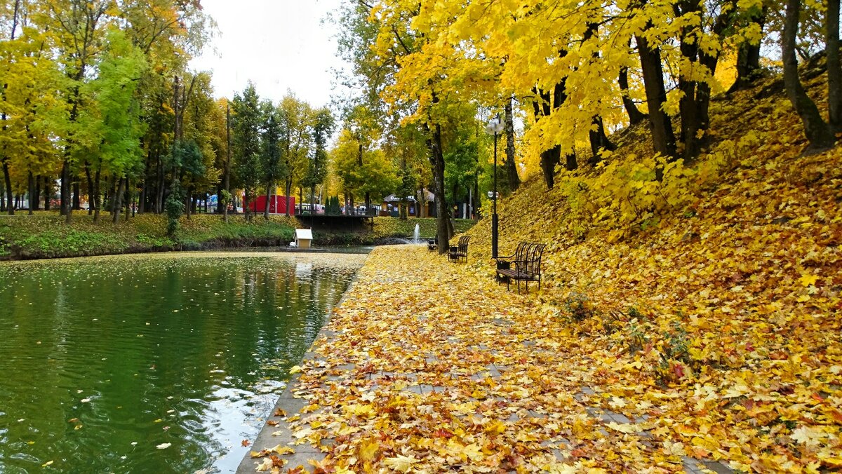 Осенний сад. - Милешкин Владимир Алексеевич Осенний сад. - Милешкин Владимир Алексеевич
