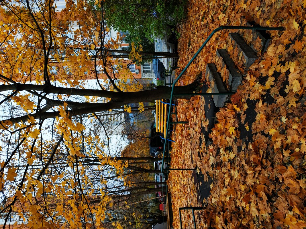И поход в п-ку на перевязку на что-нибудь годится; тема с вариацией - Андрей Лукьянов