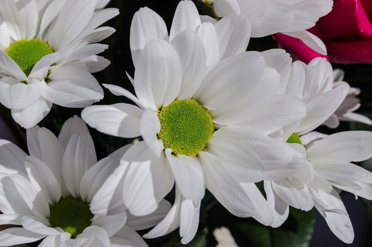 *** - Виктор Иванович Чернюк *** - Виктор Иванович Чернюк