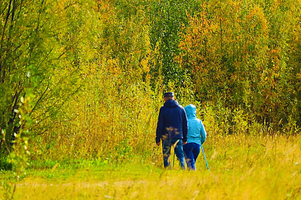 Финская ходьба на пару! - Владимир 