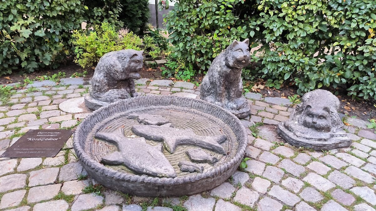 В Зеленоградске. - Ольга 