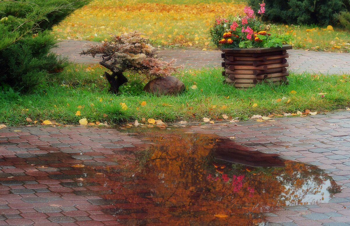 Лужи, оставшиеся после дождя, невероятно красивы! - Татьяна Помогалова Лужи, оставшиеся после дождя, невероятно красивы! - Татьяна Помогалова