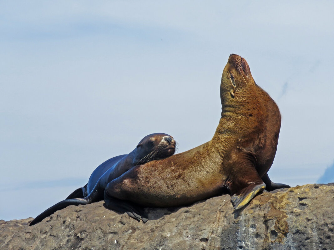 С мамой - ИРЭН@ .