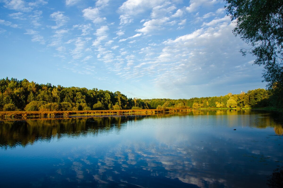На закате дня - Галина Ложечникова