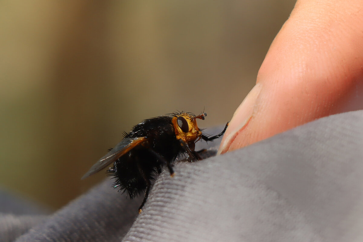 Здравствуйте - Галина Ильясова