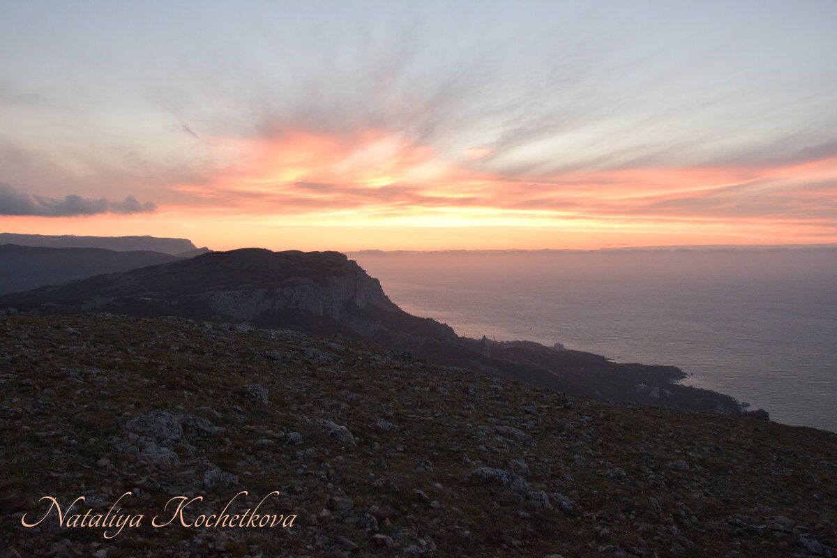 Природа Крыма - Amazing Cosmea