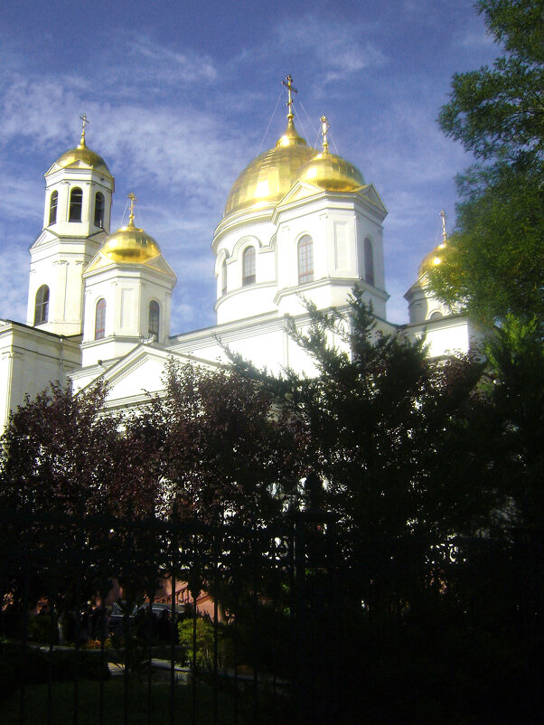 Собор  Александра  Невского - Валентин Семчишин