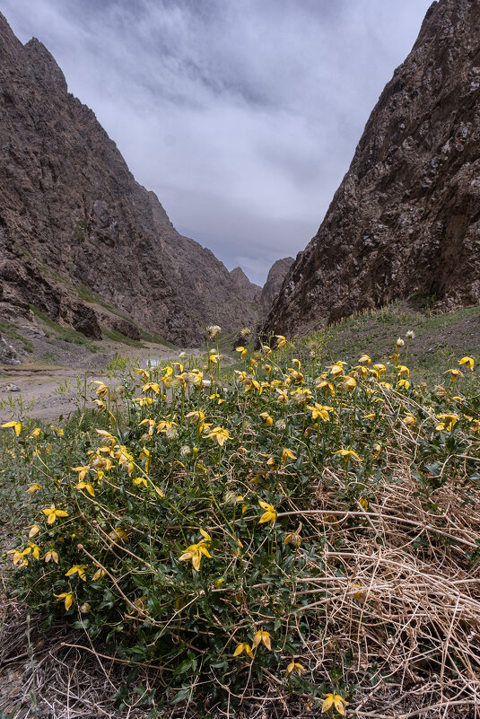в горах  Гурван-Сайхан-Уул - Galina 