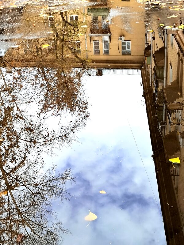 Отражение - Любимова Ольга 