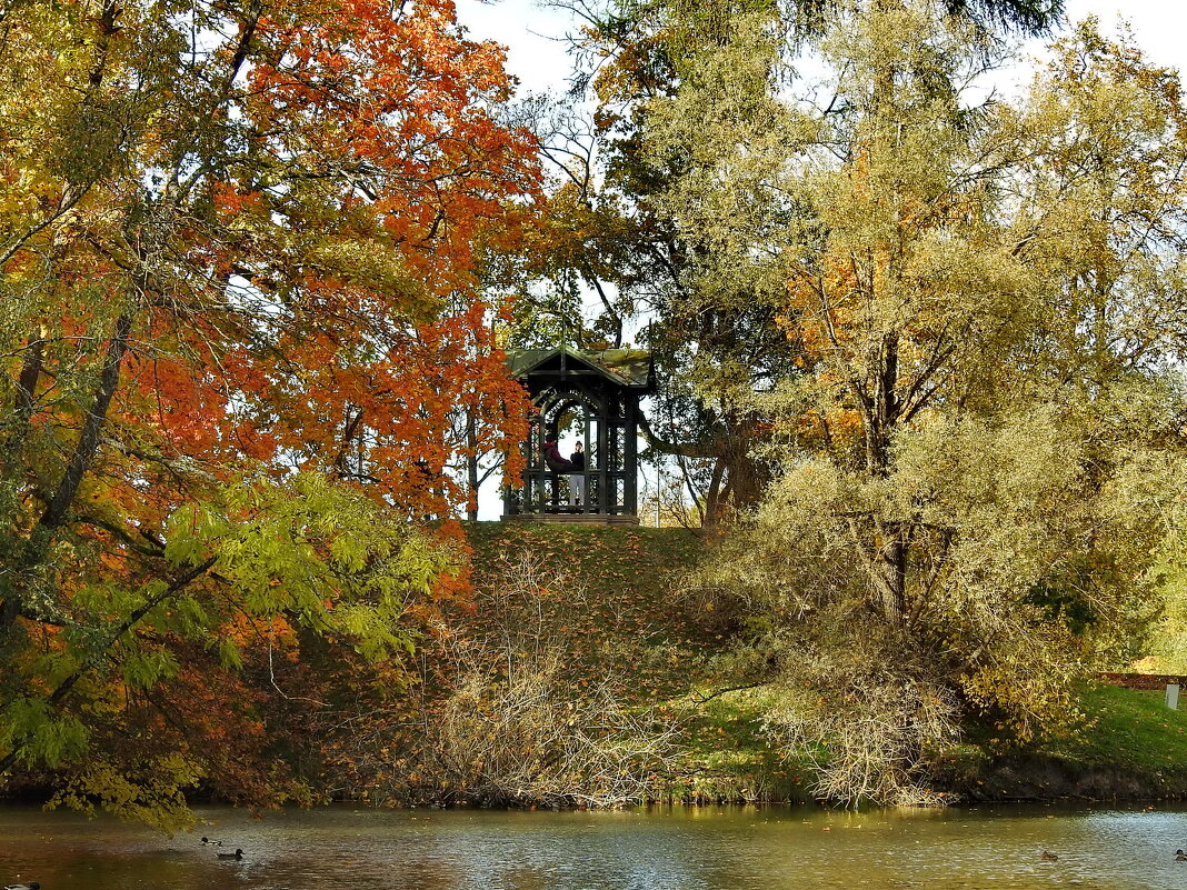 осень - ИННА ПОРОХОВА