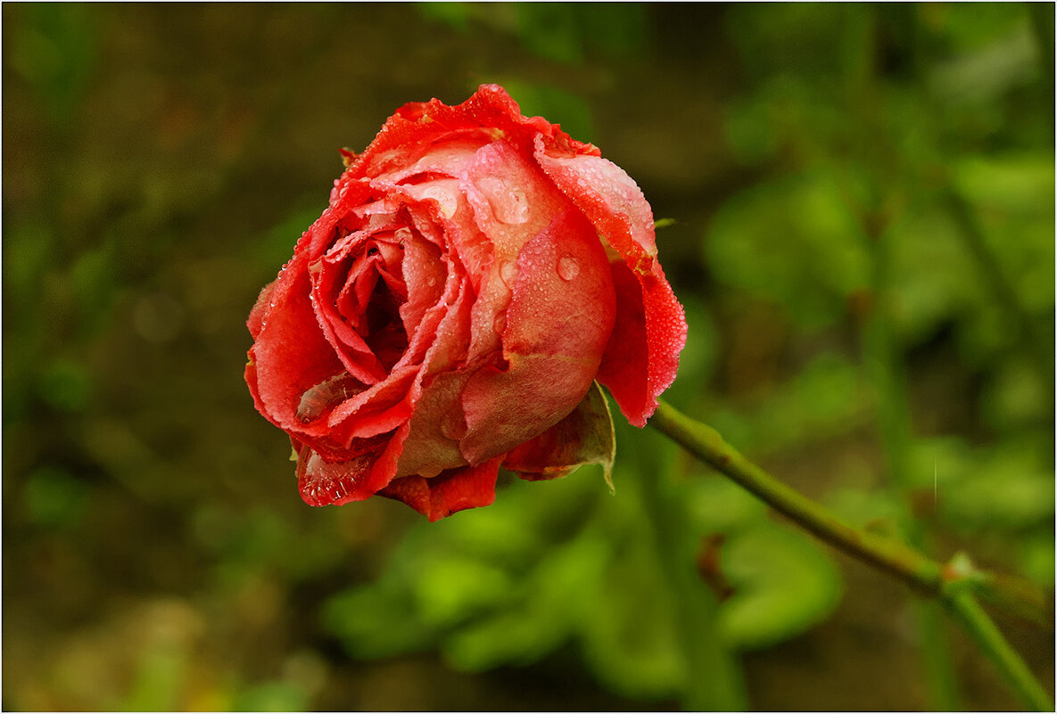 До свидания, Лето ! - Валентин Котляров