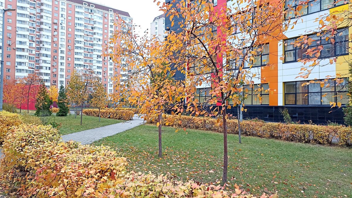 Школьный двор - Татьяна Тюменка