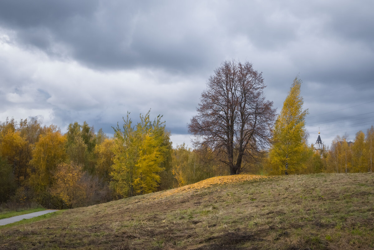 Дерево - Олег Дорошенко