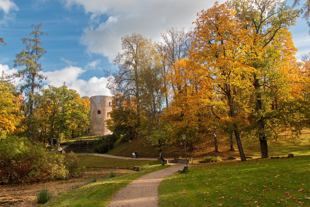 *** - Геннадий Порохов