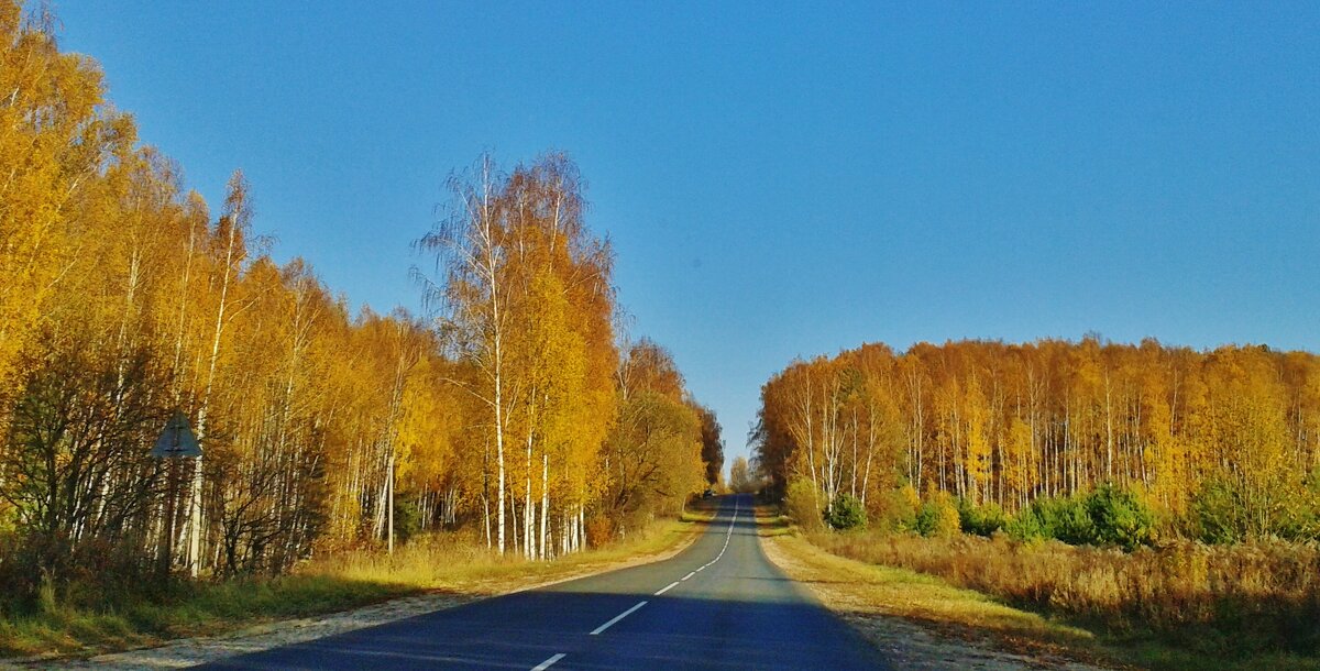 осенний день - Владимир 
