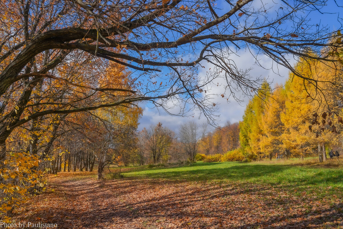 Палитра октября... - Владимир Жданов Палитра октября... - Владимир Жданов