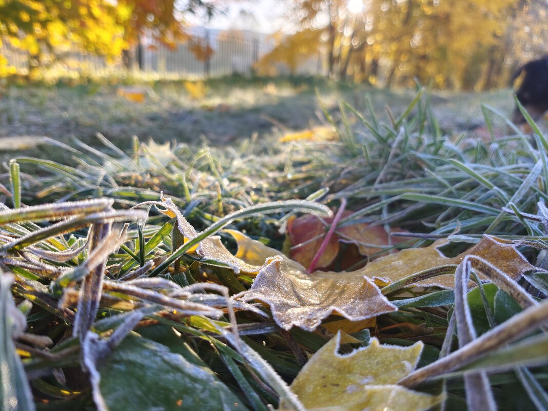 Иней... - Ирина Жигунова